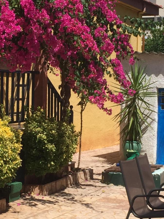 Cosy Guesthouse-Souterrain With Garden In City Center Corinth Exterior foto